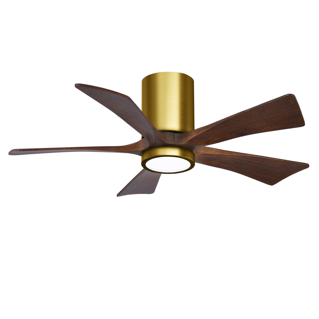 Brushed Brass Ceiling Fan by Matthews Fan Company