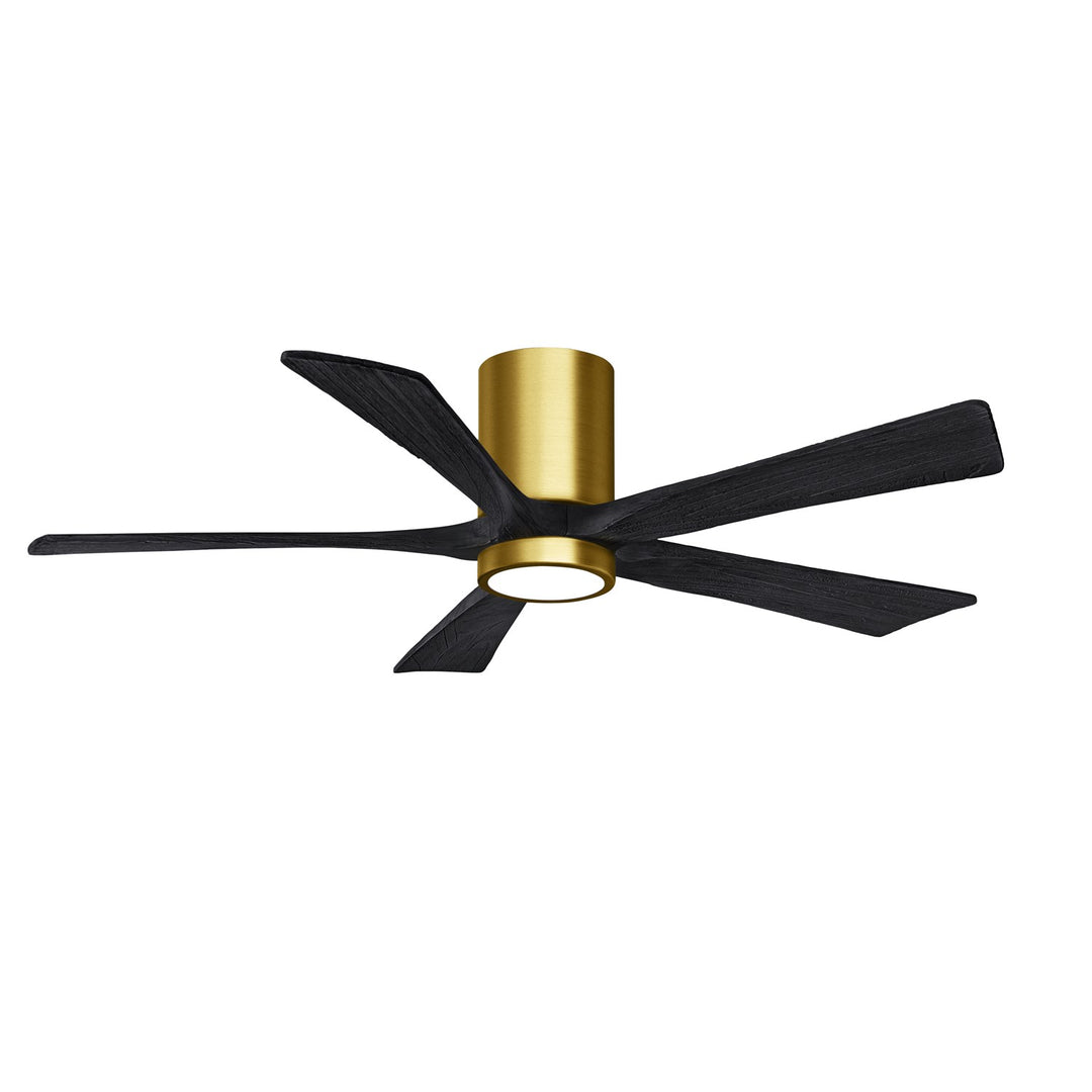 Brushed Brass Ceiling Fan by Matthews Fan Company