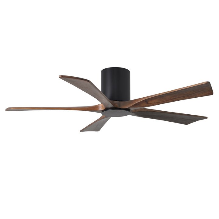 Matte Black Ceiling Fan