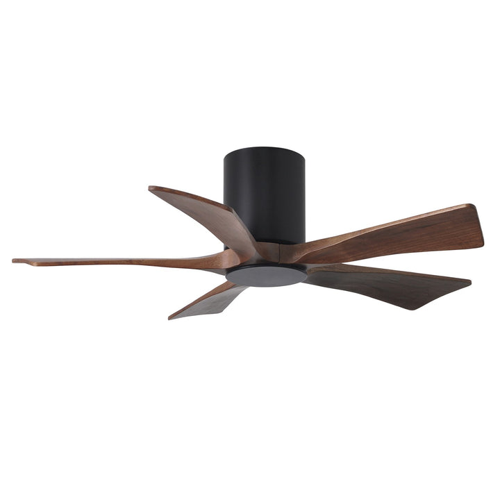 Matte Black Ceiling Fan