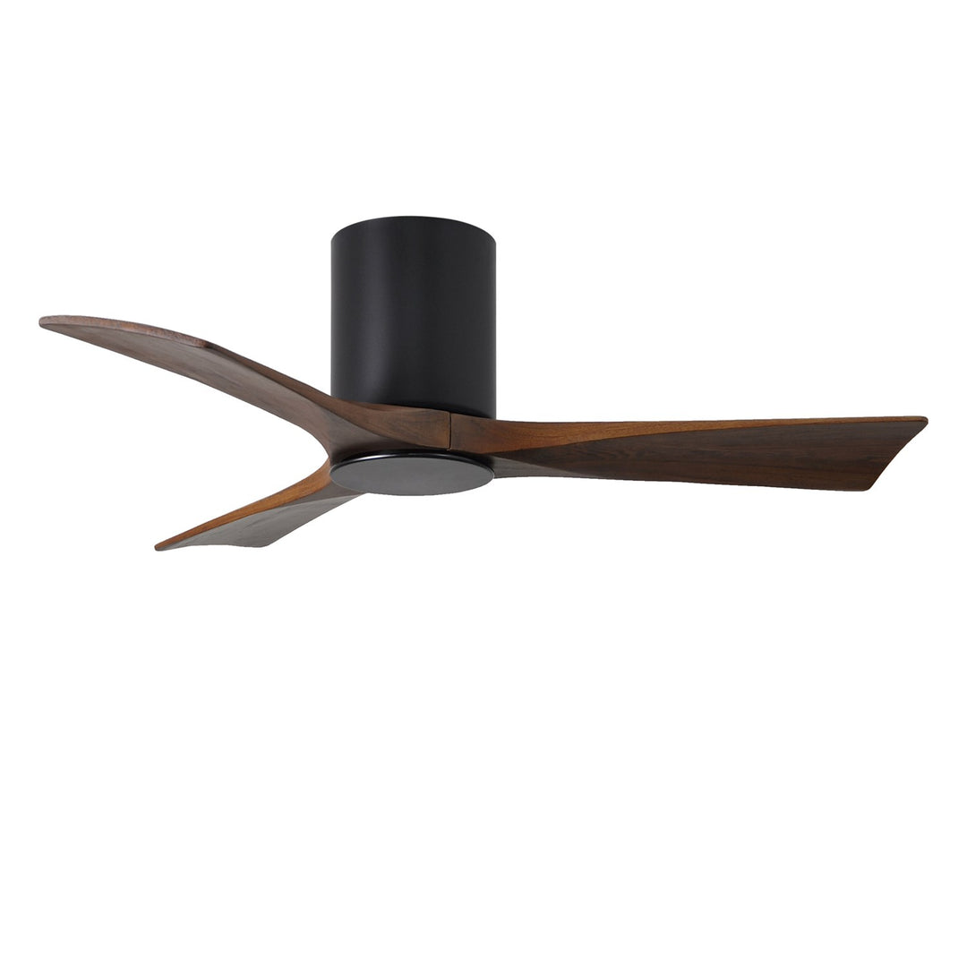 Matte Black Ceiling Fan