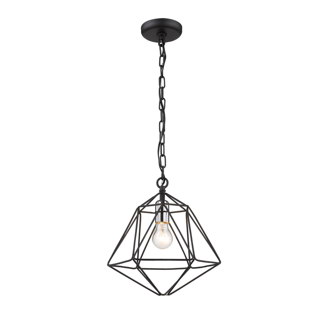 1 Light Mini Pendant