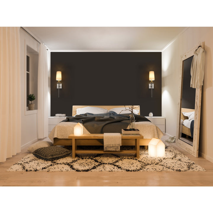 1 Light Wall Sconce