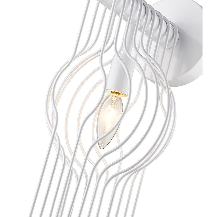 1 Light Wall Sconce