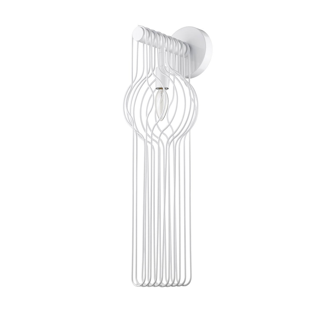 1 Light Wall Sconce