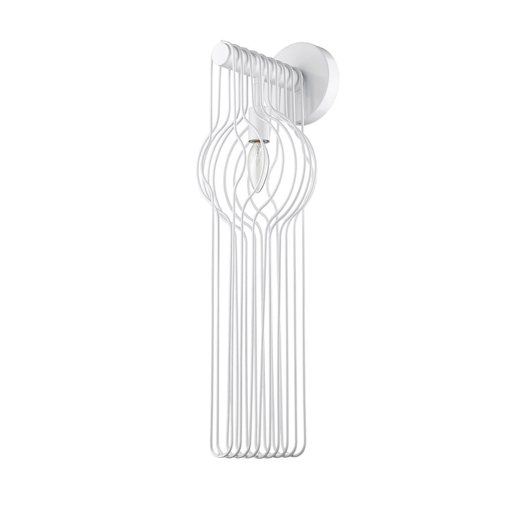 1 Light Wall Sconce