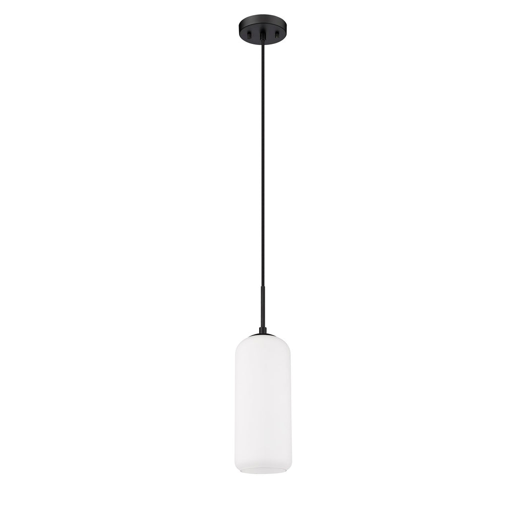 1 Light Pendant