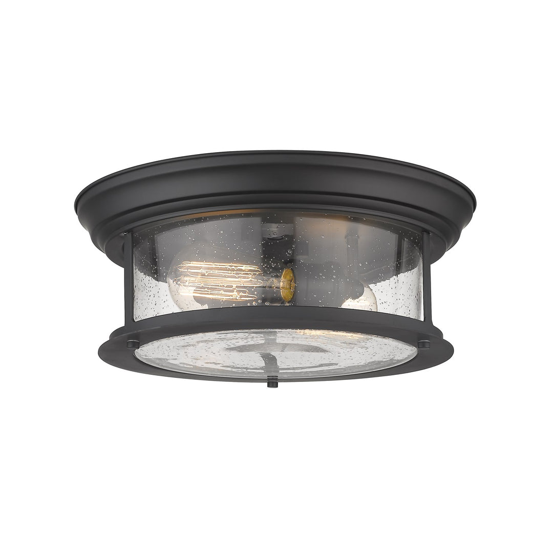 2 Light Flush Mount by Z-Lite