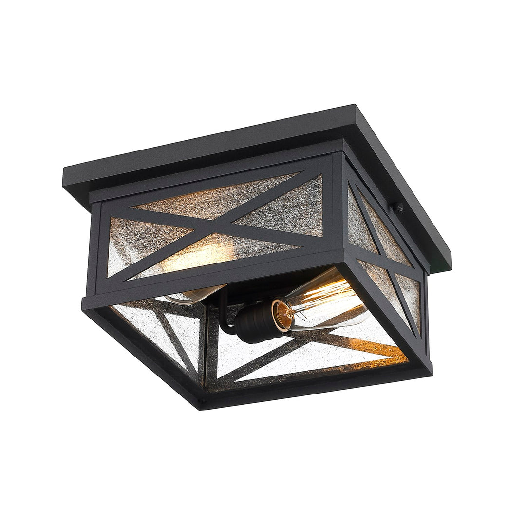 2 Light Outdoor Flush Ceiling Mount Fixture