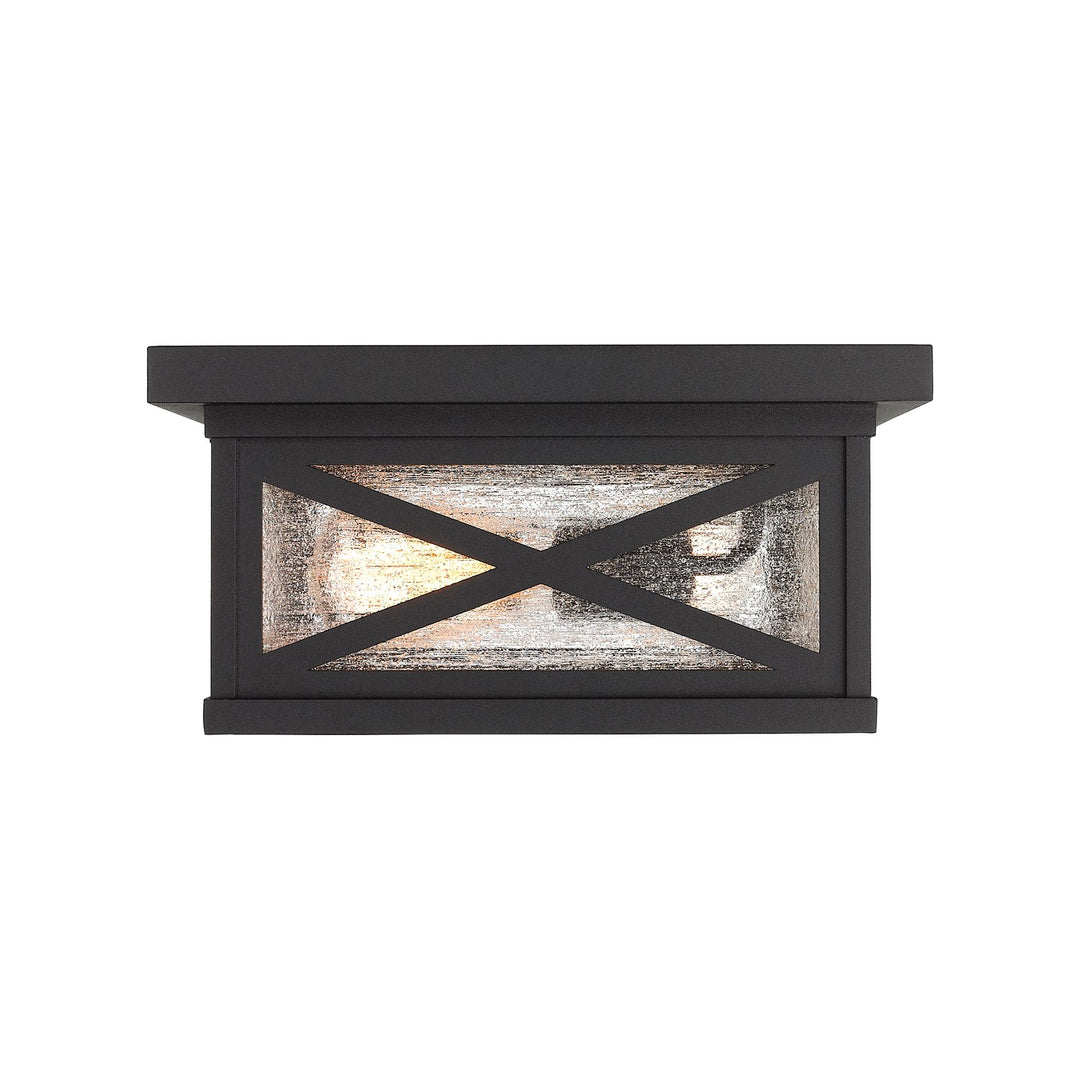 2 Light Outdoor Flush Ceiling Mount Fixture