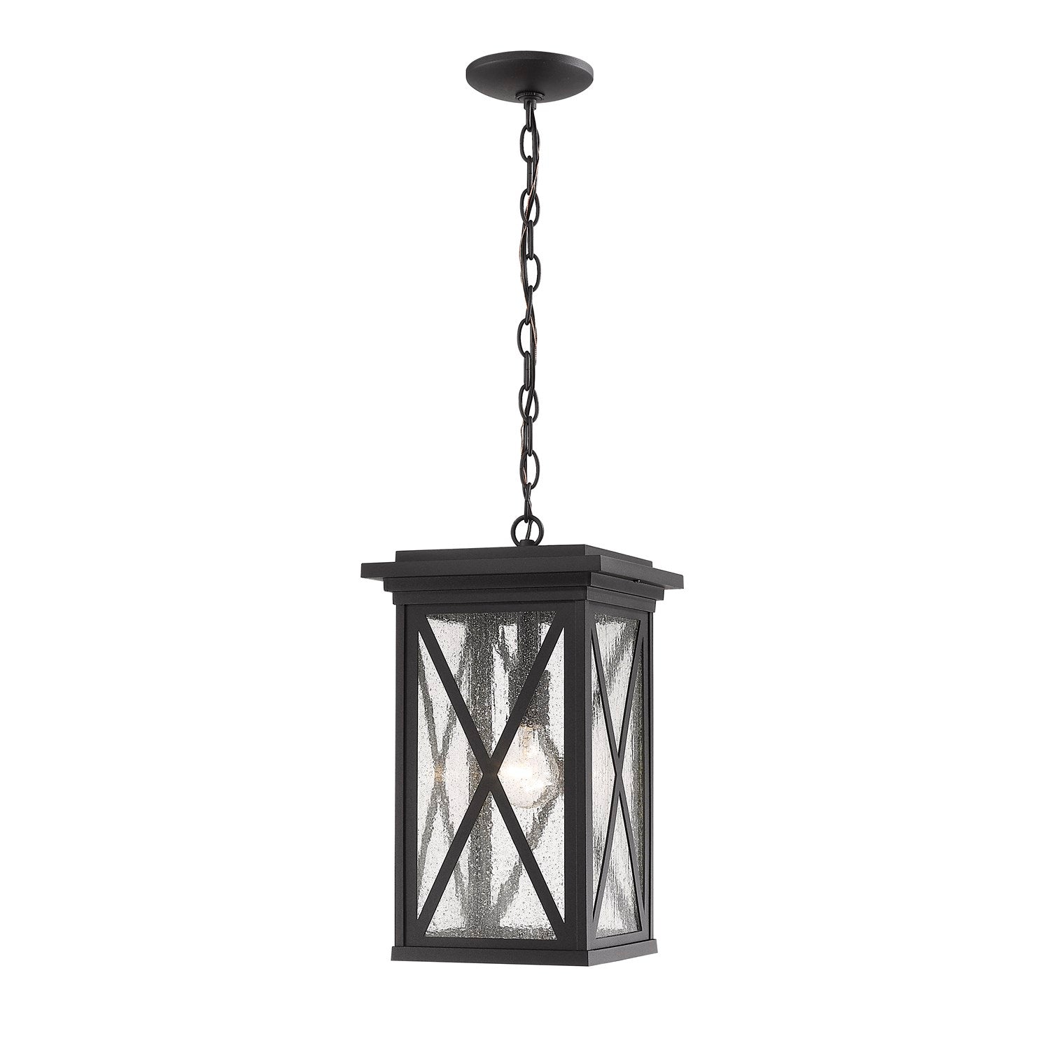1 Light Outdoor Chain Mount Ceiling Fixture by Z-Lite
