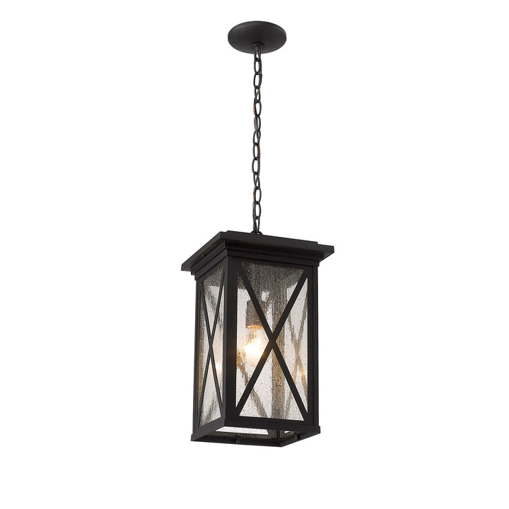 1 Light Outdoor Chain Mount Ceiling Fixture