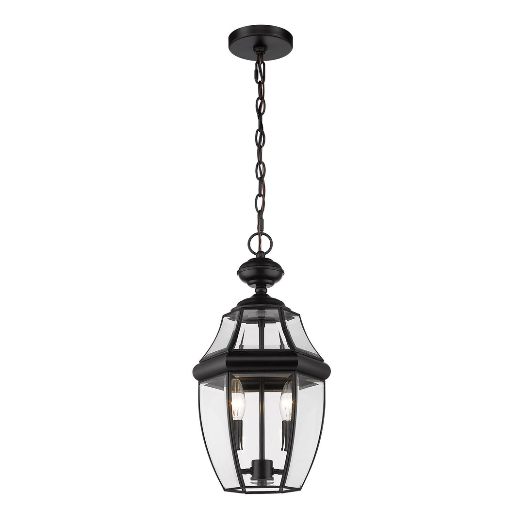 2 Light Outdoor Chain Mount Ceiling Fixture by Z-Lite