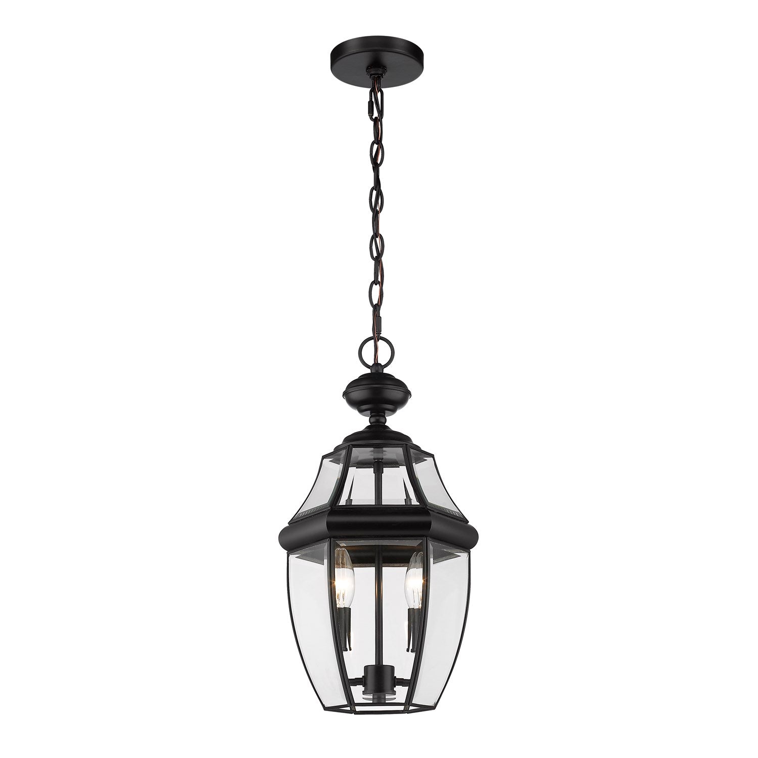 2 Light Outdoor Chain Mount Ceiling Fixture by Z-Lite