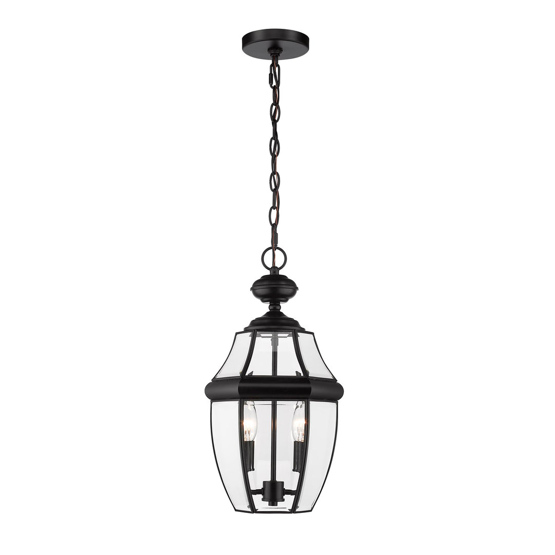 2 Light Outdoor Chain Mount Ceiling Fixture