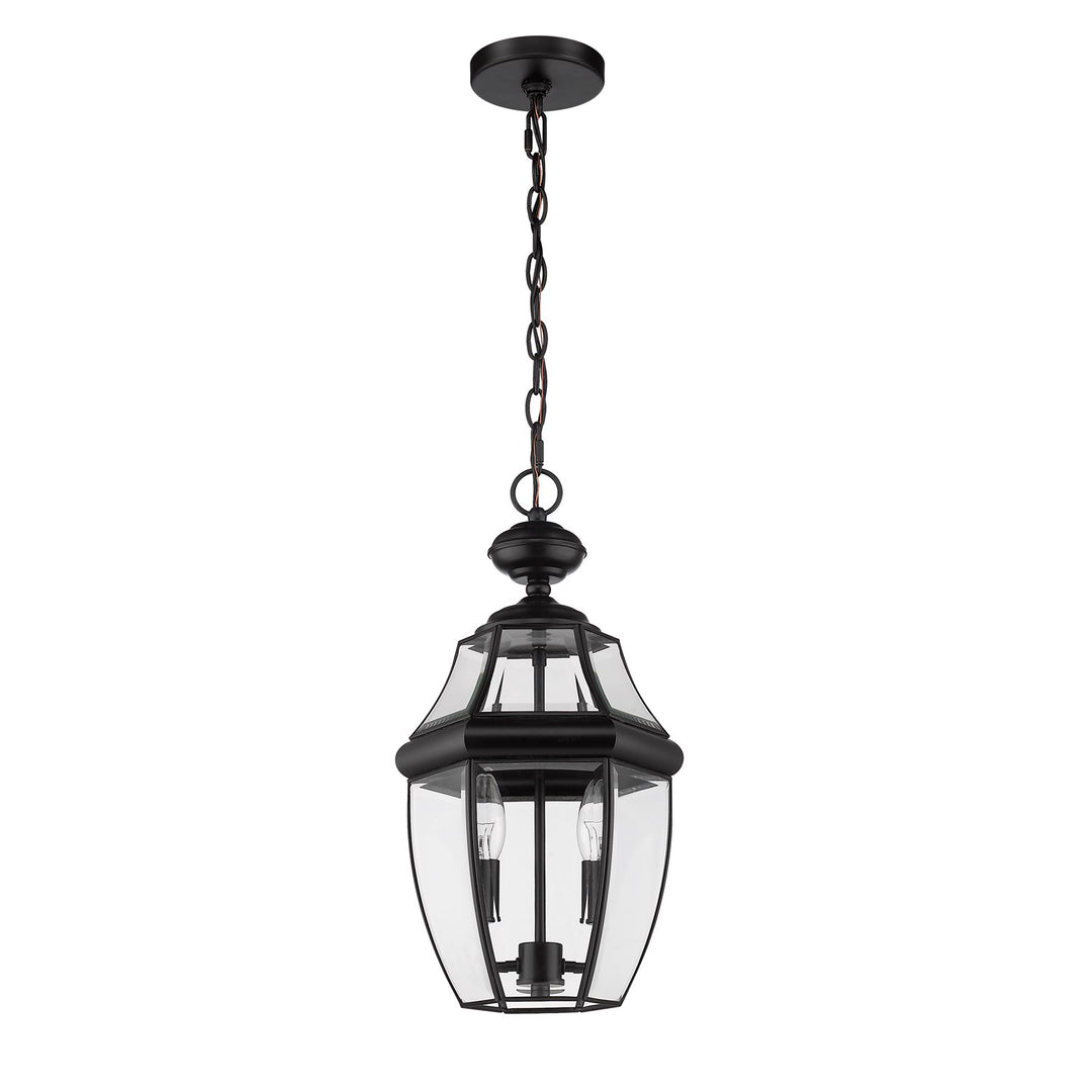 2 Light Outdoor Chain Mount Ceiling Fixture