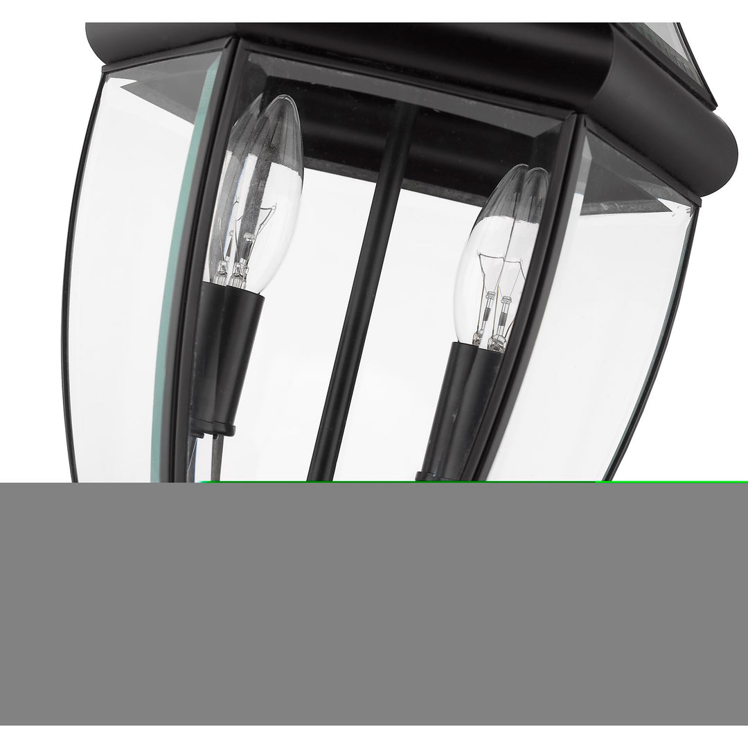 2 Light Outdoor Chain Mount Ceiling Fixture