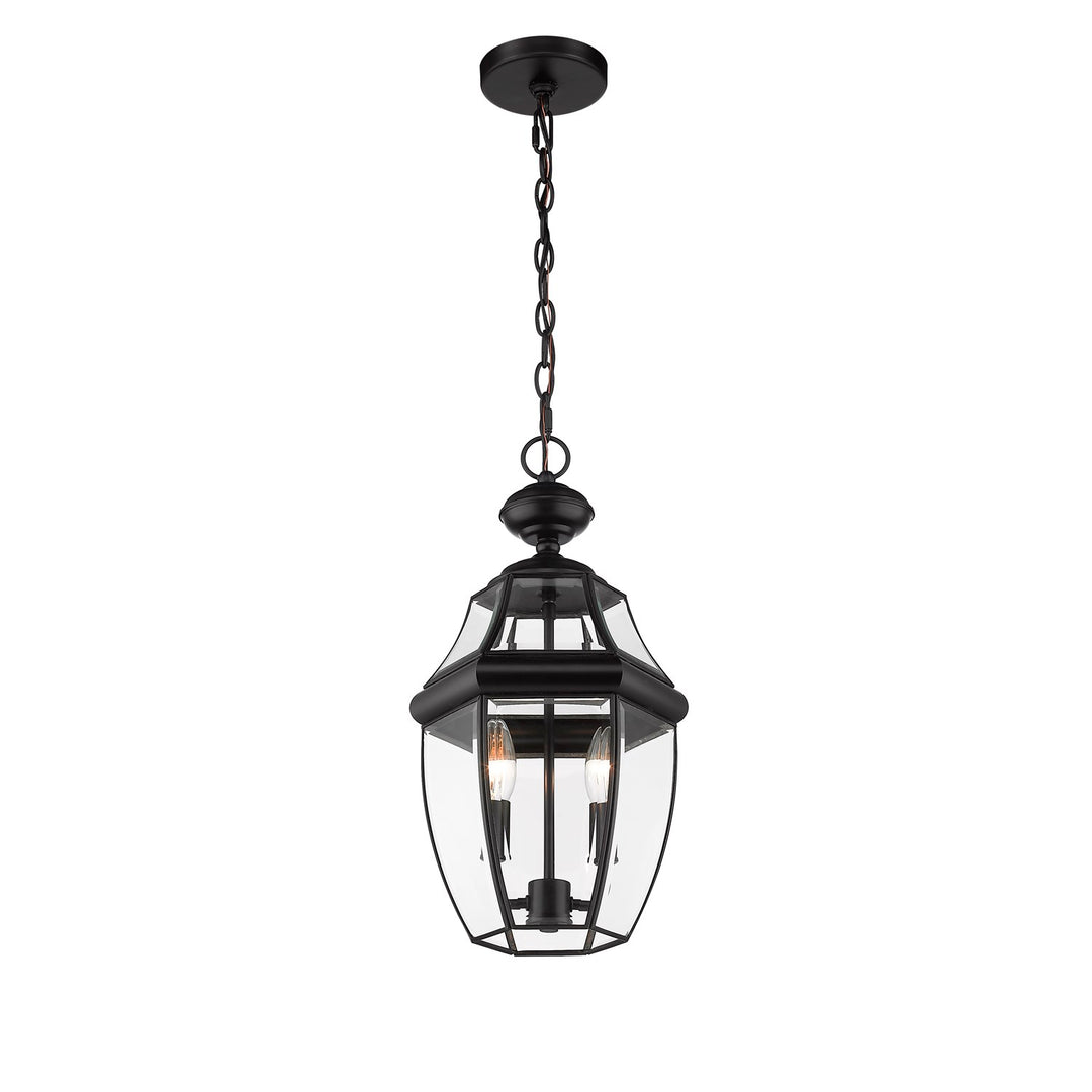 2 Light Outdoor Chain Mount Ceiling Fixture