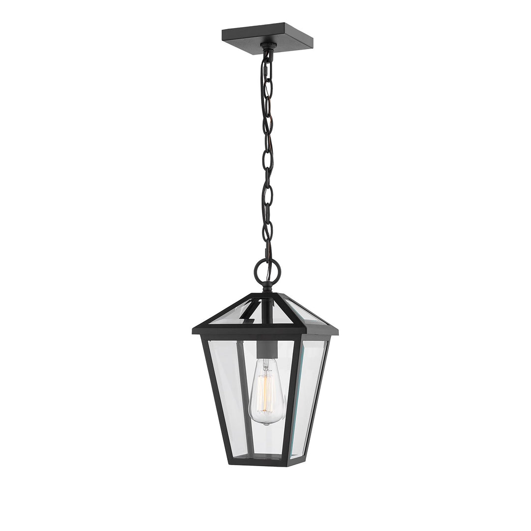1 Light Outdoor Chain Mount Ceiling Fixture by Z-Lite