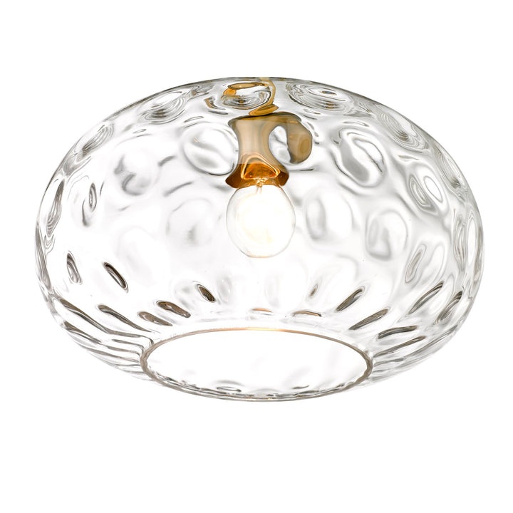 1 Light Pendant