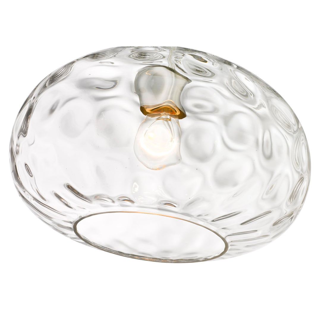 1 Light Pendant