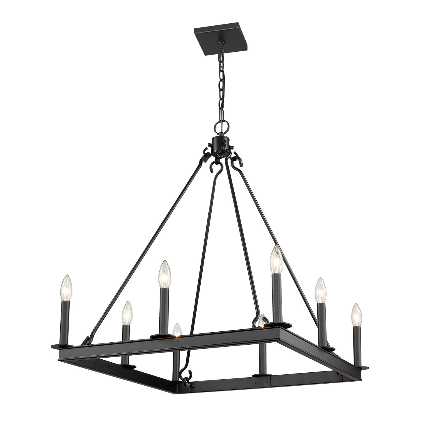 8 Light Chandelier by Z-Lite