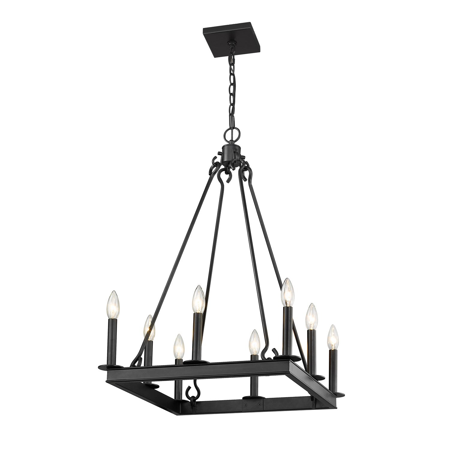 8 Light Chandelier by Z-Lite