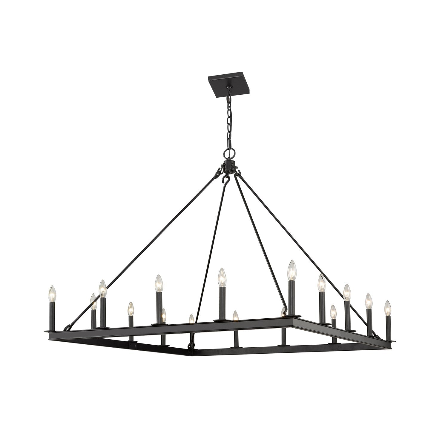 16 Light Chandelier by Z-Lite