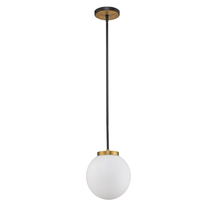 1 Light Pendant