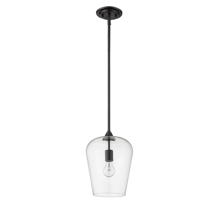 1 Light Pendant