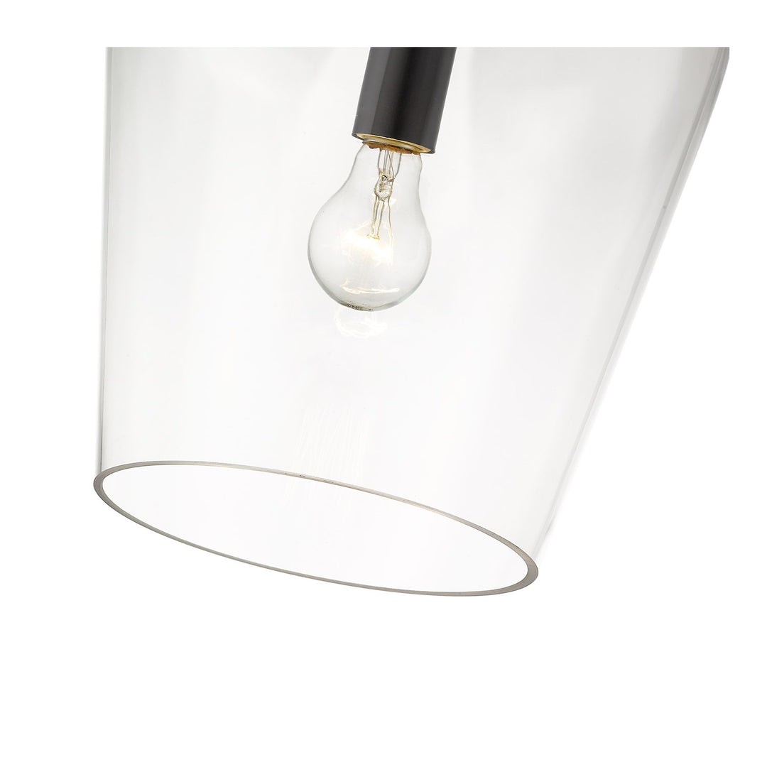 1 Light Pendant