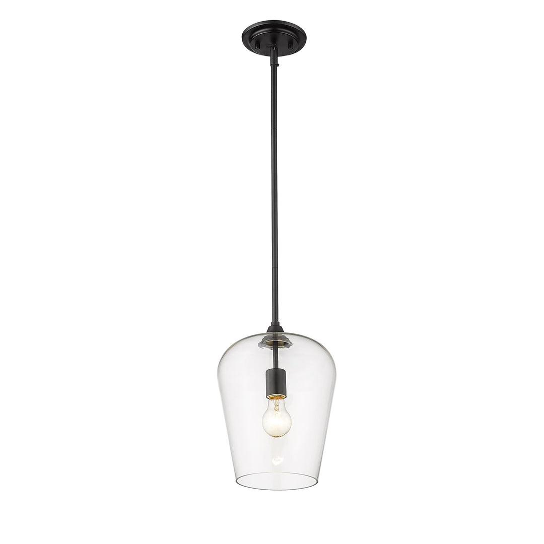 1 Light Pendant