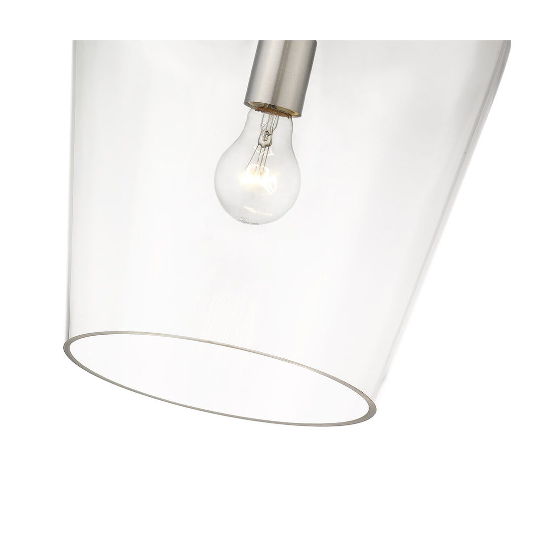 1 Light Pendant