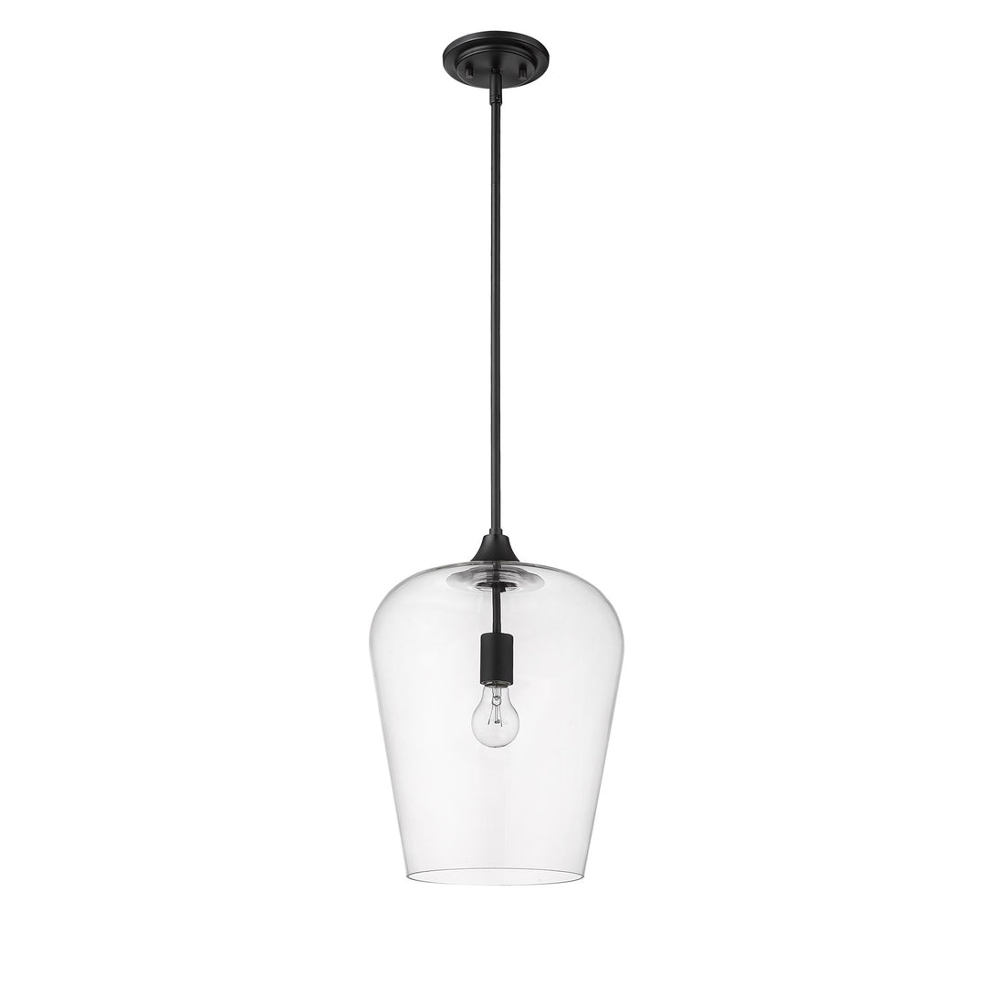 1 Light Pendant