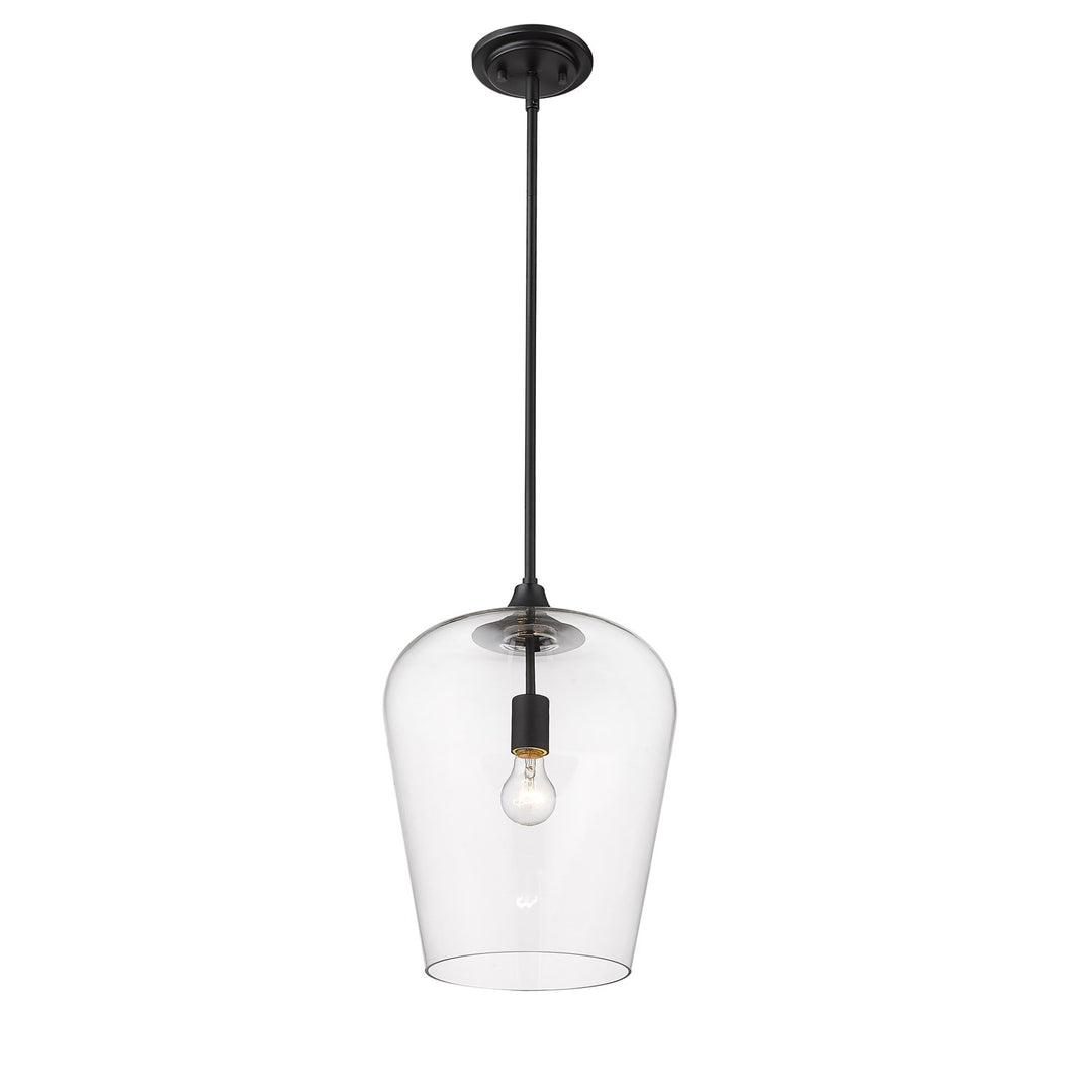 1 Light Pendant