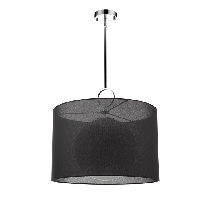 1 Light Pendant