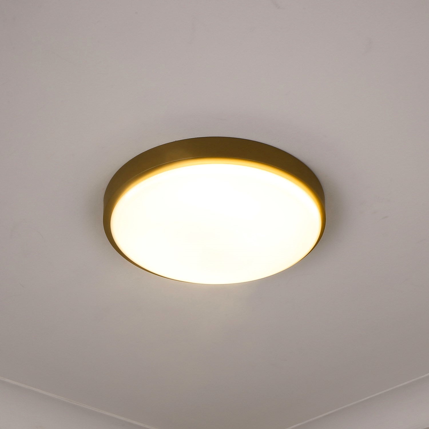 Gabi Flush Mount