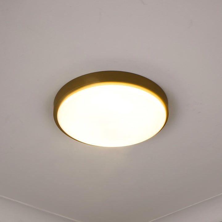 Gabi Flush Mount