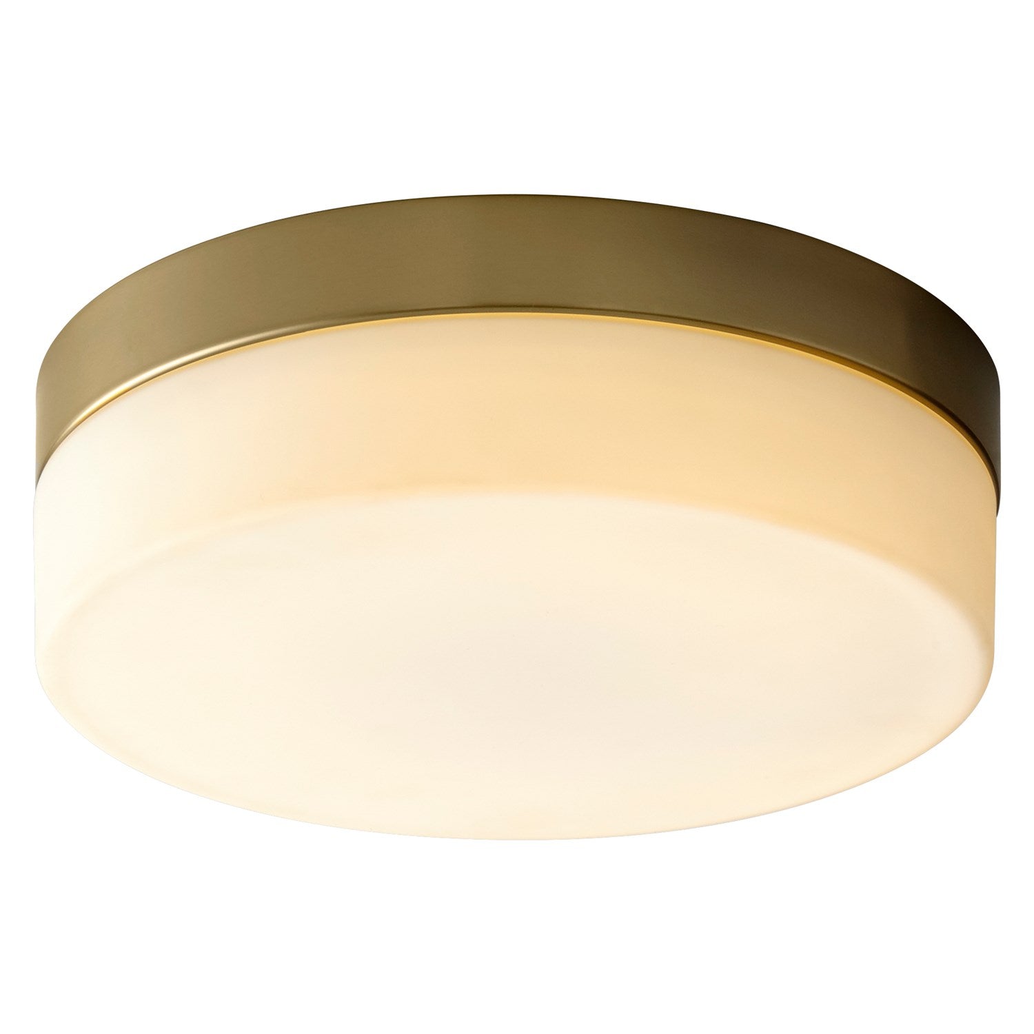 11in Ceiling Mount - Agd