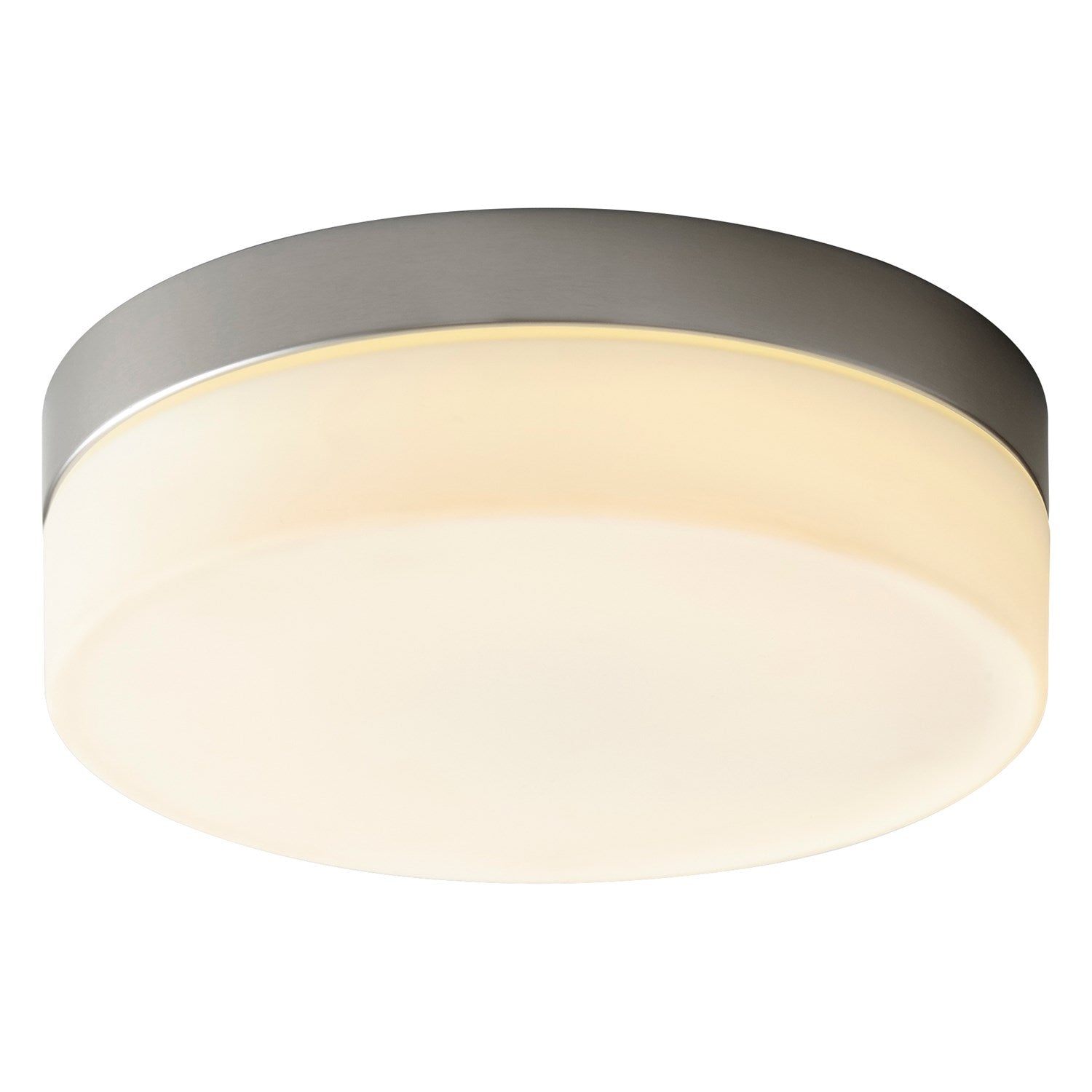 11in Ceiling Mount - Asn