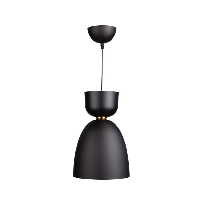 1 Light Pendant