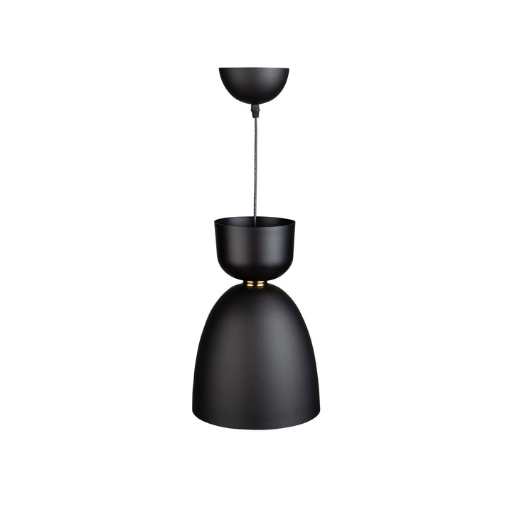 1 Light Pendant