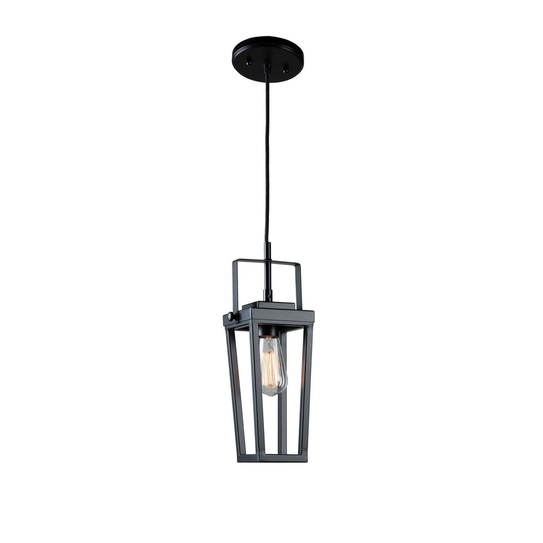 1 Light Pendant Black by Artcraft