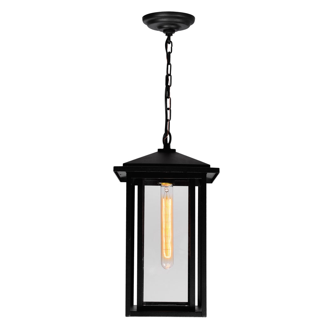1 Light Black Outdoor Hanging Light