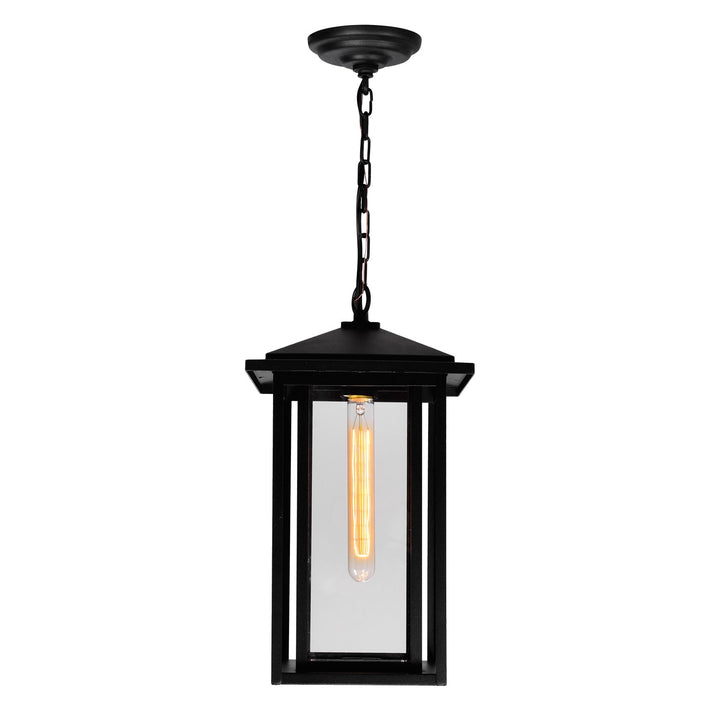 1 Light Black Outdoor Hanging Light