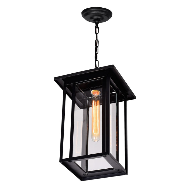 1 Light Black Outdoor Hanging Light