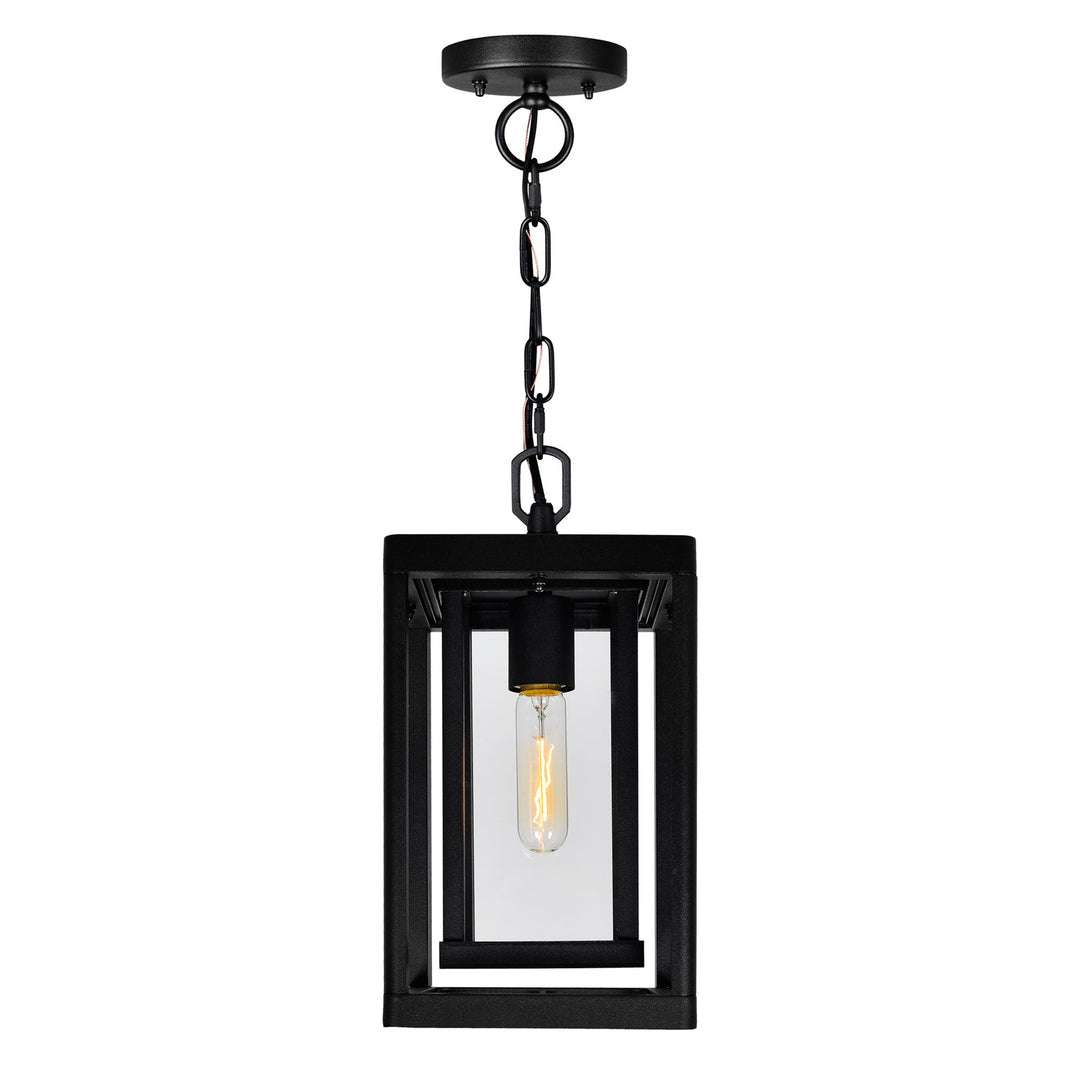 1 Light Black Outdoor Hanging Light