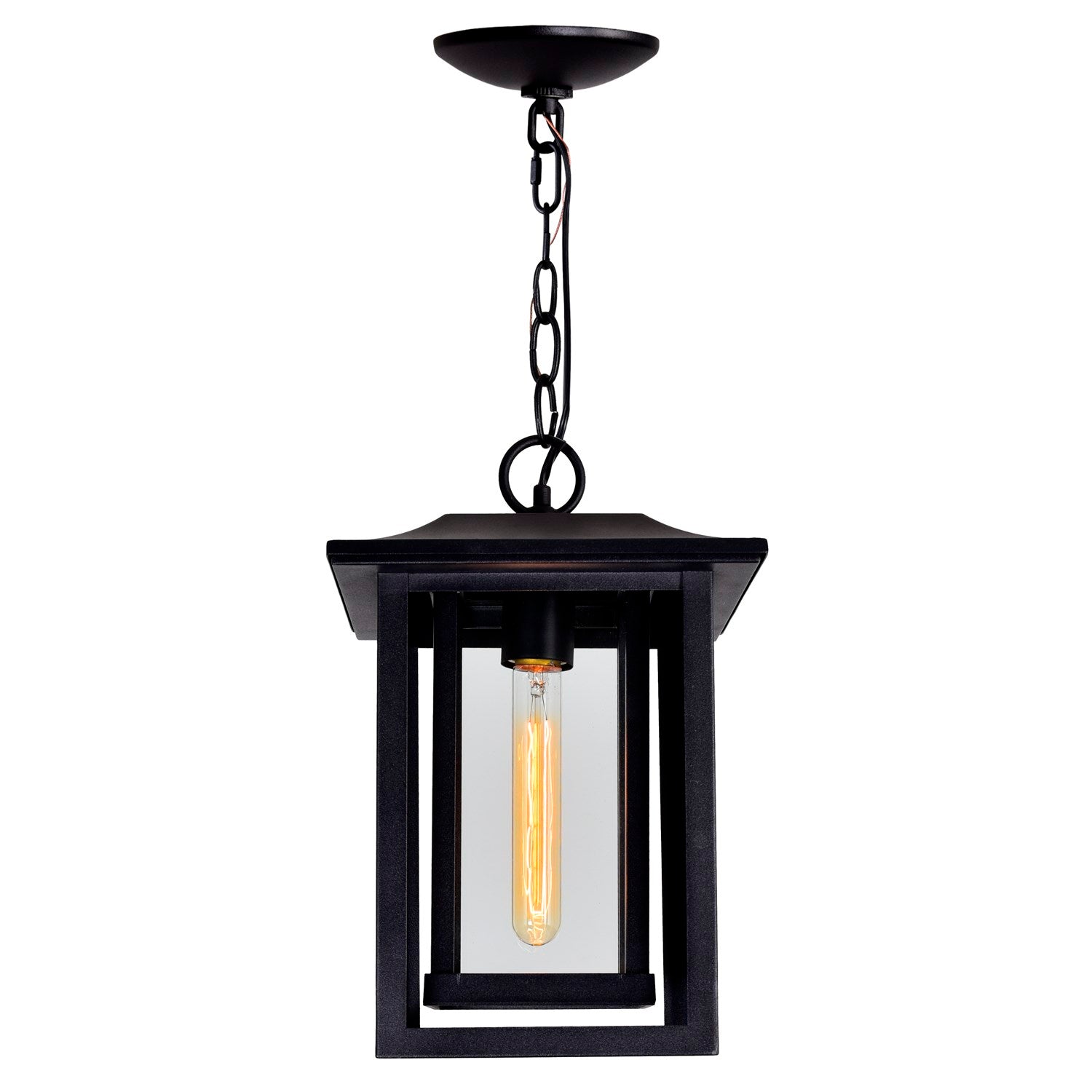 1 Light Black Outdoor Hanging Light