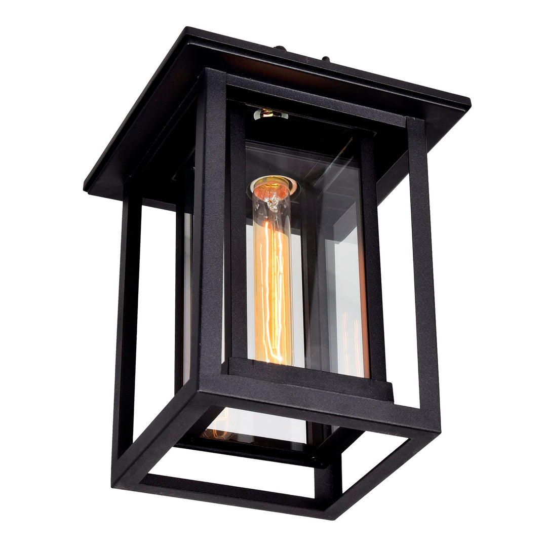 1 Light Black Outdoor Hanging Light