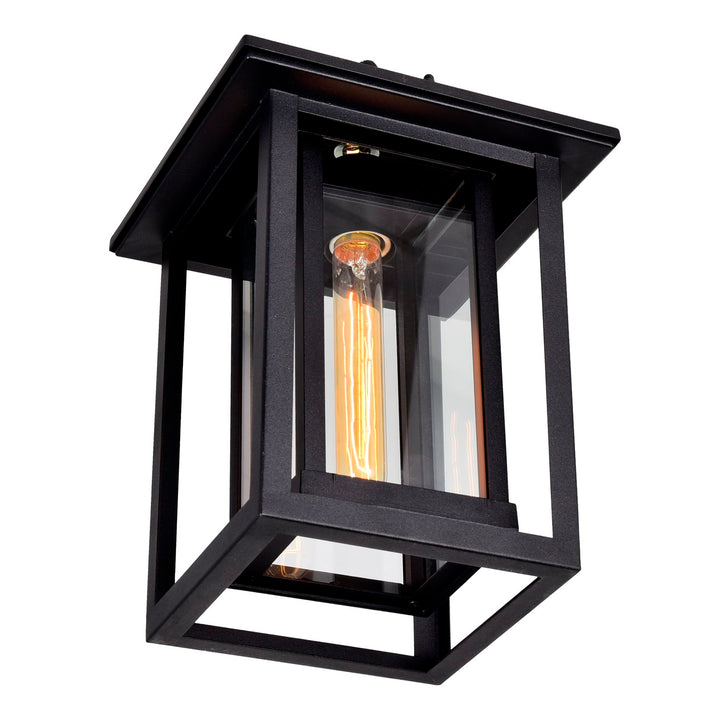 1 Light Black Outdoor Hanging Light
